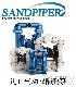 ٰ۵ӸĤãSANDPIPERӸĤãЇ